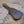 Load image into Gallery viewer, 1925 Gibson L-JR Archtop Acoustic