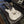 Load image into Gallery viewer, 2020 Lucky Dog Evangelist - Chris Robertson - Black Stone Cherry - "Again" - White