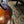 Load image into Gallery viewer, 1946 Gibson L-48 Archtop Acoustic - Script Logo - Sunburst - w/ Case