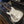 Load image into Gallery viewer, 2020 Lucky Dog Evangelist - Chris Robertson - Black Stone Cherry - "Again" - White