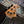 Load image into Gallery viewer, 2025 Ernie Ball Music Man StingRay 4 - Tim Commerford Signature - BEAD - Passive - Natural - Artist Model w/ Case