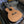 Load image into Gallery viewer, 1930s Gretsch Student Model Acoustic - Banner