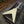 Load image into Gallery viewer, 2023 Gibson 1970s Flying V - Classic White - w/ OHSC