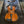Load image into Gallery viewer, 1907 Robert Glier - Wurlitzer - Violin w/ Case