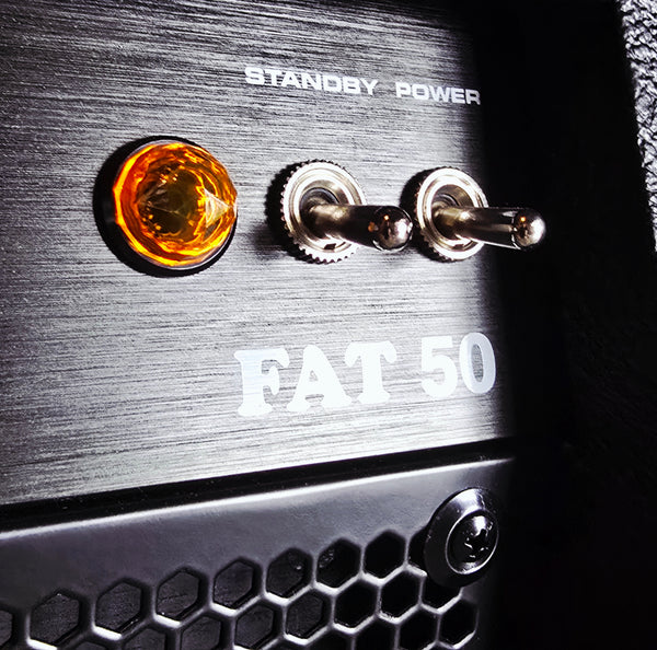 Palmer Fat 50 Tube Combo Amp - 50 Watts 1x12 Footswitchable