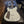 Load image into Gallery viewer, 2020 Lucky Dog Evangelist - Chris Robertson - Black Stone Cherry - "Again" - White