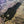 Load image into Gallery viewer, 2005 2006 Fender 60th Diamond Anniversary Standard Strat - Blizzard Pearl - w/ Gig Bag