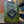 Load image into Gallery viewer, Amplisonic V8 T.A.N.K. 20 - Jerry Can - Gas Tank Amp - Green - Rechargeable - 20-Watts