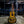 Load image into Gallery viewer, 1930s Bronson Music Corporation - Regal Square Neck Parlor Hawaiian Lap Steel Guitar - w/ Case