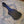 Load image into Gallery viewer, Vintage Black Chipboard Offset Electric Bass Guitar Case - 1960s? 1970s? Fits Fender and Ric