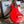 Load image into Gallery viewer, 1964 Tosca Thunderstick - Valco Supro - Short-Scale - Red - w/ Original Case