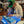 Load image into Gallery viewer, SIGNED! - Analog Pedals - Dos Fuzz V2 - Chris Robertson Signature Pedal - Cumberland Guitars