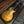 Load image into Gallery viewer, 1974 Cortez Les Paul Deluxe Copy - Japan - Mini-Humbuckers - Gold Top
