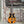 Load image into Gallery viewer, Bellflower EG-1N Electric Guitar - Desert Blonde - w/Hardshell Case
