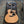 Load image into Gallery viewer, 2016 Taylor 114ce Grand Auditorium - Acoustic Electric - Natural Finish - w/Gig Bag
