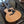 Load image into Gallery viewer, 2016 Taylor 114ce Grand Auditorium - Acoustic Electric - Natural Finish - w/Gig Bag
