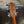 Load image into Gallery viewer, 2016 Taylor 114ce Grand Auditorium - Acoustic Electric - Natural Finish - w/Gig Bag
