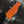 Load image into Gallery viewer, 1963 Ampeg Burns of London EG-1S JSS - Wild Dog Jazz Split Sound -Orange Red - w/OHSC
