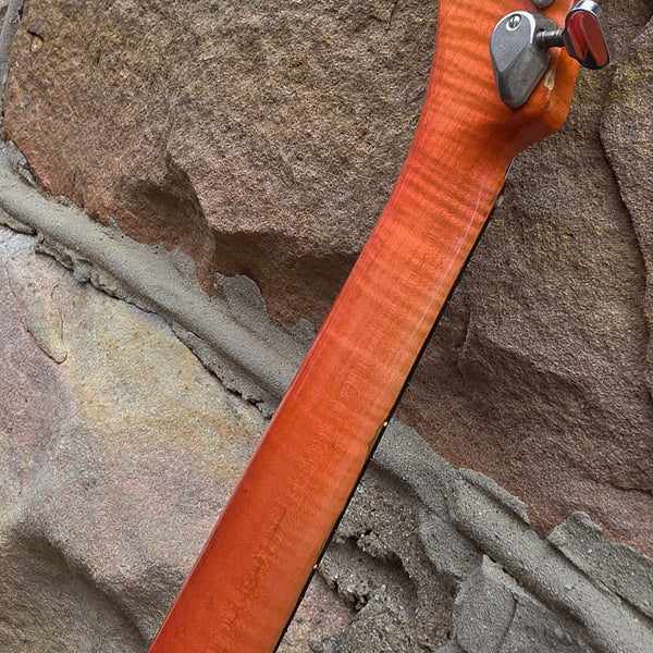 1963 Ampeg Burns of London EG-1S JSS - Wild Dog Jazz Split Sound -Orange Red - w/OHSC