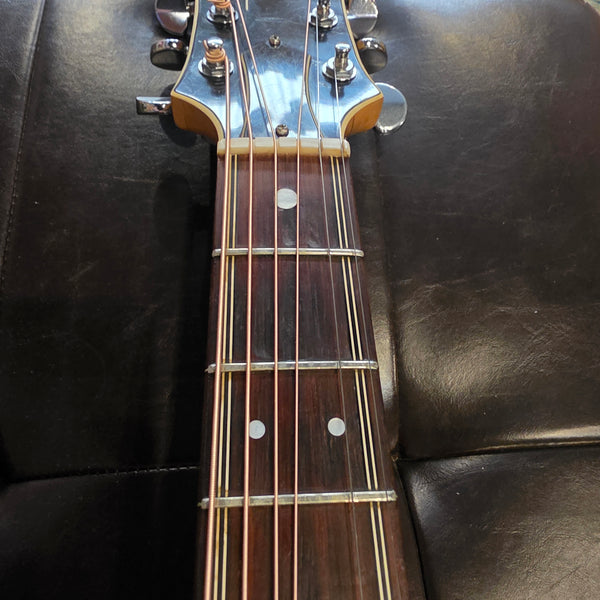1967 RG&G The Grammer Guitar - Blonde Finish - w/OHSC
