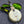 Load image into Gallery viewer, 1922 Gibson MB Mandolin-Banjo - w/OHSC
