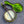 Load image into Gallery viewer, 1922 Gibson MB Mandolin-Banjo - w/OHSC
