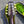 Load image into Gallery viewer, 1922 Gibson MB Mandolin-Banjo - w/OHSC
