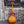 Load image into Gallery viewer, 1947 Silvertone Aristocrat - Model 57 712 - Kay Built - Archtop Acoustic
