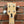 Load image into Gallery viewer, 2025 Dunable Asteroid Bass - USA Custom Shop - Satin Tobacco Burst - w/Gig Bag
