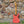 Load image into Gallery viewer, 2023 Fender Custom Shop '56 Strat HT GH - Relic - Super Faded Tahitian Coral - S23 Limited Edition w/OHSC
