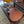 Load image into Gallery viewer, 2021 Martin Road Series Special - Acoustic Electric - GPC Body 10-series - w/Gig Bag
