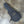 Load image into Gallery viewer, 2021 Martin Road Series Special - Acoustic Electric - GPC Body 10-series - w/Gig Bag
