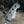 Load image into Gallery viewer, 2023 Fender - Duff McKagen Signature - Deluxe Precision Bass - Black - w/Gig Bag
