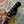 Load image into Gallery viewer, 1965 Kent Model 533 - Videocaster - Guyatone LG-140T - MIJ Sunburst
