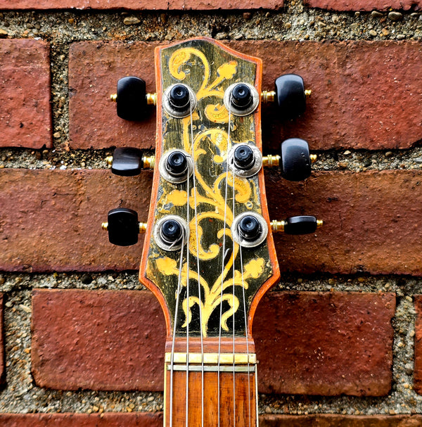 1950s ? 1960s? El Ray Electric Archtop - Made in Italy - w/Hardshell Case