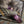 Load image into Gallery viewer, 1975 Gibson Les Paul Deluxe - Refin - Purple - Humbucker - w/Hard Case
