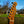 Load image into Gallery viewer, 2025 Fender Vintera II 60s Telecaster Thinline - Sunburst
