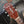 Load image into Gallery viewer, c. 1940 S.S. Stewart 17.25" Professional Archtop Guitar- Buegeleisen &amp; Jacobson - Natural Blonde - w/Case
