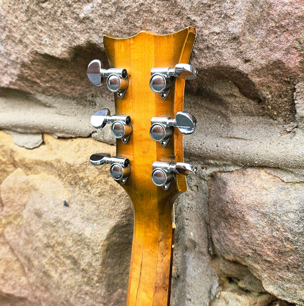 1967 RG&G The Grammer Guitar - Green Burst - w/ Case