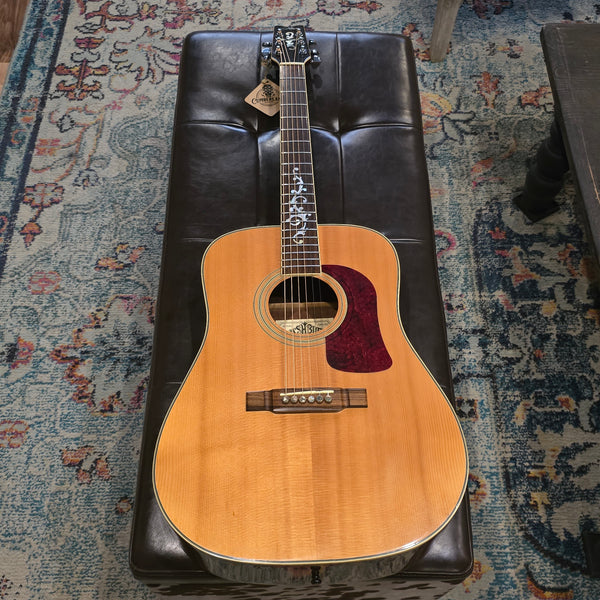 1995 Washburn D95LTD Limited Edition Dreadnaught w/Hard Case