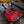 Load image into Gallery viewer, 1972 Epiphone EA-250 Hollowbody - Red - w/Gig Bag
