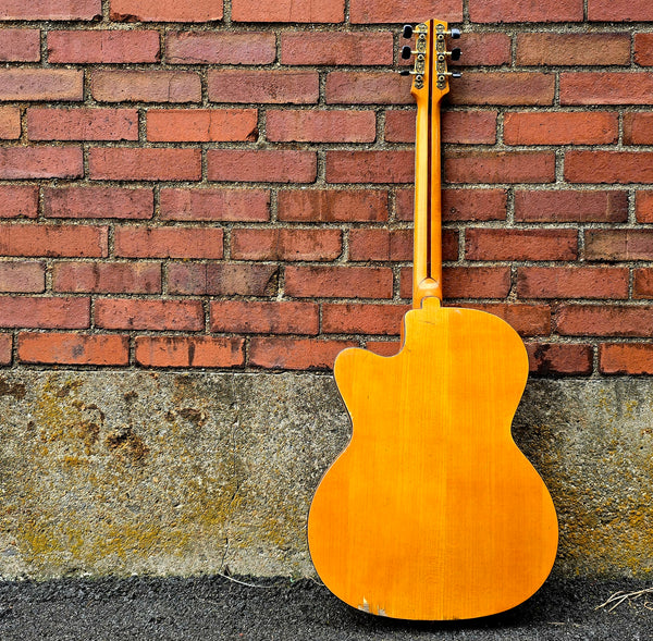 1950s ? 1960s? El Ray Electric Archtop - Made in Italy - w/Hardshell Case