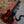 Load image into Gallery viewer, Early 1970s Kay K-1B Short Scale Bass - SG Body - w/ Gig Bag
