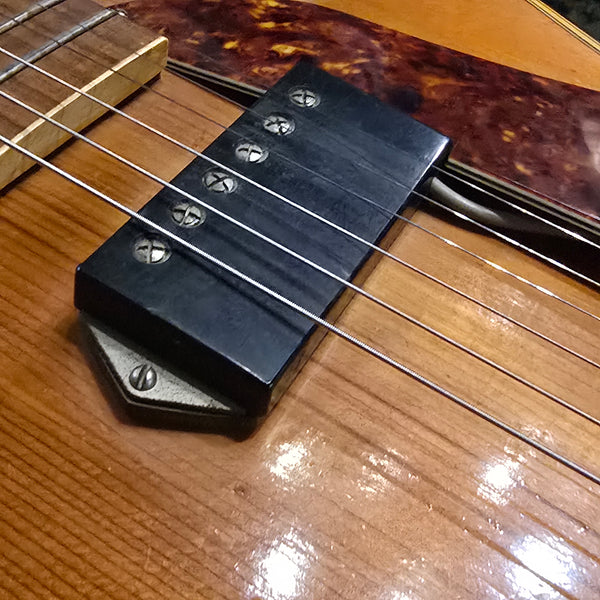 1950s ? 1960s? El Ray Electric Archtop - Made in Italy - w/Hardshell Case