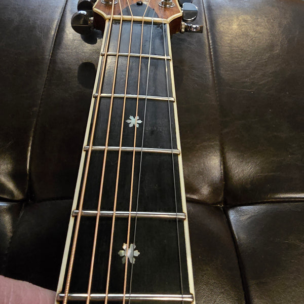 1977 Tama Hoshino TW-09 - Natural - Dreadnaught w/ Pickup and Case