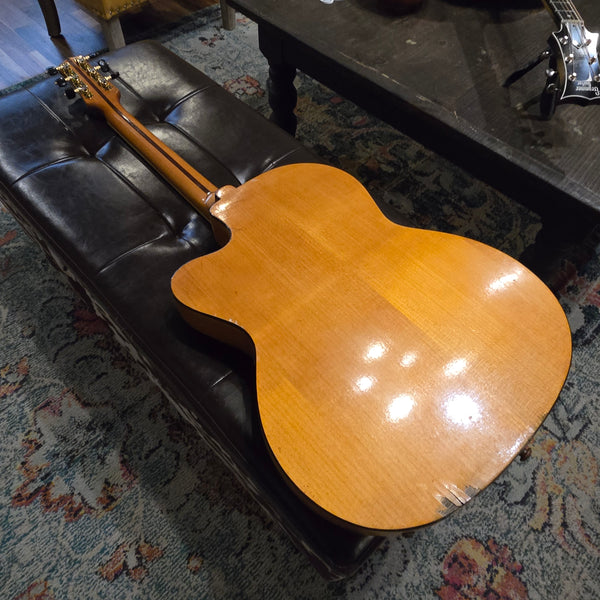 1950s ? 1960s? El Ray Electric Archtop - Made in Italy - w/Hardshell Case