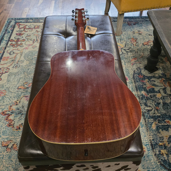 1995 Washburn D95LTD Limited Edition Dreadnaught w/Hard Case