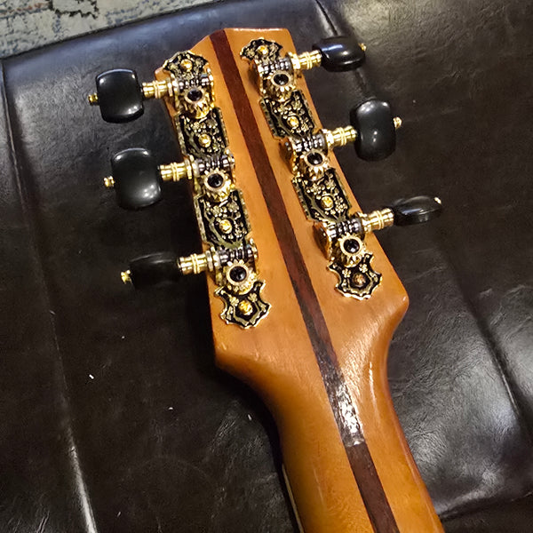 1950s ? 1960s? El Ray Electric Archtop - Made in Italy - w/Hardshell Case