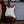 Load image into Gallery viewer, 2020 Fender Squier Classic Vibe &#39;60s Strat - Candy Apple Red - w/Hardshell Case
