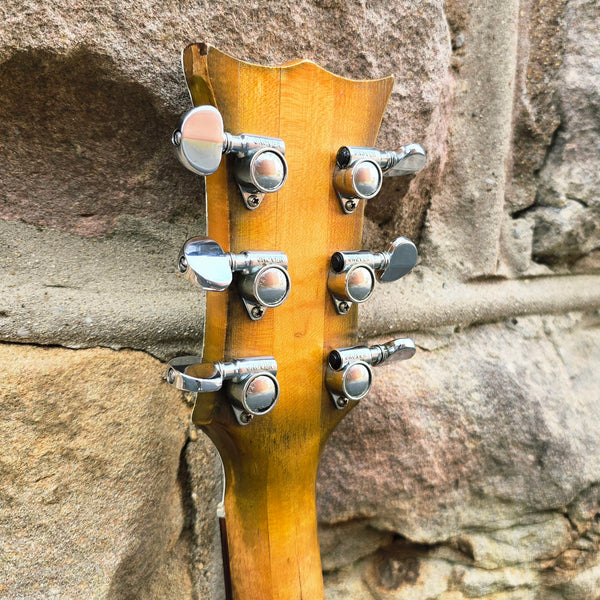 1967 RG&G The Grammer Guitar - Green Burst - w/ Case